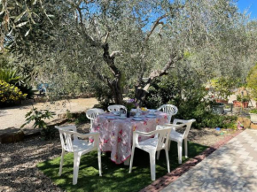 Apartment Olivo - PGI128 by Interhome